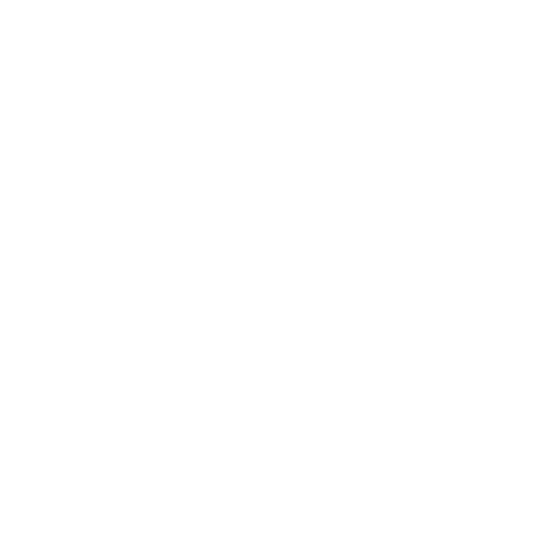 pulsoactivoo.com
